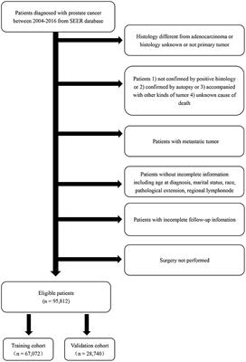 Predicting Cancer-Specific Survival Among Patients With Prostate Cancer After Radical Prostatectomy Based on the Competing Risk Model: Population-Based Study